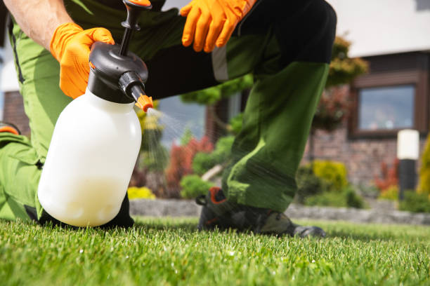 Trusted Maywood, NJ Pest Control Experts