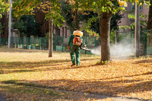 Best Local Pest Control Services  in Maywood, NJ